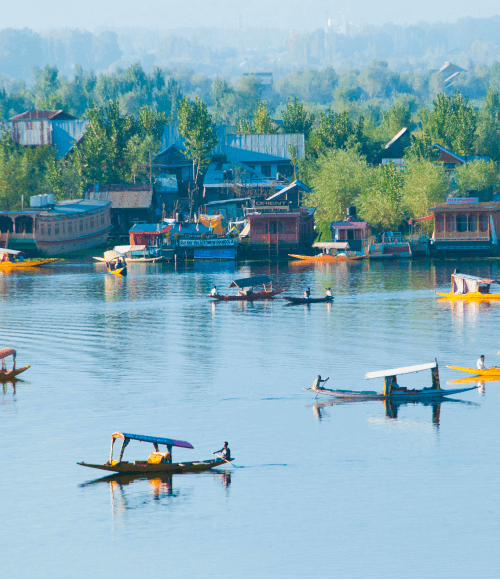 Kashmir