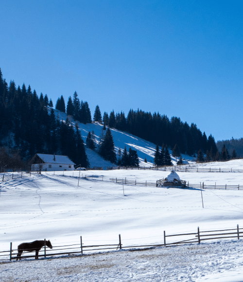 gulmarg